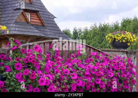 fiori di lilla sullo sfondo di una recinzione di legno nel cortile posteriore del giardino Foto Stock