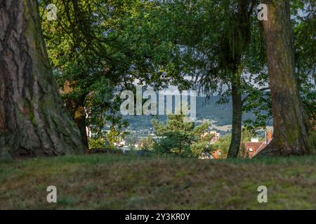 Colori estivi caldi mattoncini sulle strade di Liberec CZ 08 31 2024 Foto Stock