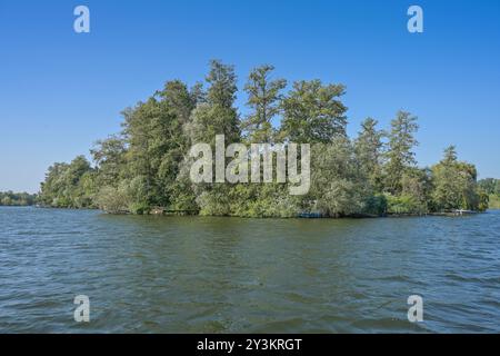 Insel Maienwerder, Tegeler SEE, Tegel, Reinickendorf, Berlino, Germania Foto Stock