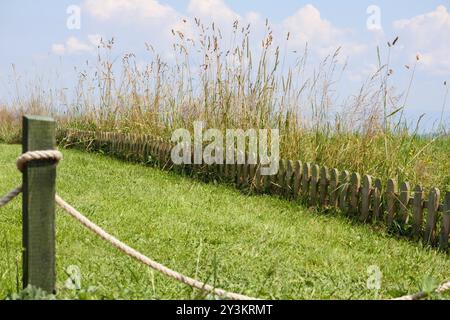 Vista sulla natura con erba che soffia nel vento lungo il bordo di una piccola recinzione di legno su uno sfondo azzurro del cielo Foto Stock