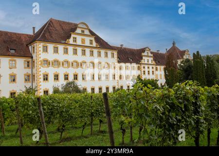 Castello di Salem, vicino al lago Contance, in Germania Foto Stock