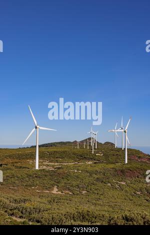 Turbine eoliche sull'altopiano Paul da Serra a Madeira, Portogallo. Foto Stock