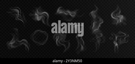 Fumo bianco. Vapore trasparente realistico. Tazza di tè e caffè, fumo, vapore di cibo, sigaretta al vapore o nuvole di narghilè. Illustrazione vettoriale 3D. Illustrazione Vettoriale