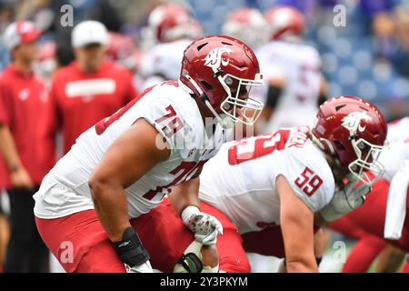 Seattle, Washington, Stati Uniti. 14 settembre 2024. Faalili Faamoe (79), offensive lineman dei Washington State Cougars, durante il riscaldamento pre-partita per la partita di football NCAA tra i Washington Huskies e i Washington State Cougars a Seattle, Washington. Steve Faber/CSM/Alamy Live News Foto Stock