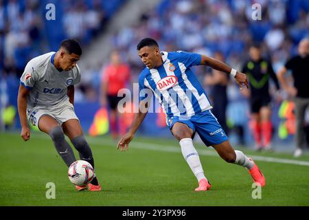 Cornella El Prat, ESP. 14 settembre 2024. RCD ESPANYOL vs DEPORTIVO ALAVES 14 settembre 2024 Cheddira (16) di RCD Espanyol durante la partita tra RCD Espanyol e FC Barcelona corrispondente alla quinta giornata di la Liga EA SPORTS allo stadio RCDE di Barcellona, Spagna. Crediti: Rosdemora/Alamy Live News Foto Stock