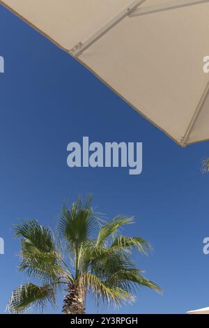 spiaggia presso il resort, vista dal basso come da un lettino a un ombrellone, una palma e un cielo azzurro. vacanze in mare Foto Stock