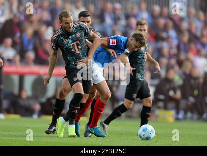 KIEL, GERMANIA - 14 SETTEMBRE: Harry Kane del Bayern Muenchen, Benedikt Pichler dell'Holstein Kiel durante la partita di Bundesliga tra Holstein Kiel e FC Bayern München all'Holstein-Stadion il 14 settembre 2024 a Kiel, Germania. © diebilderwelt / Alamy Stock Foto Stock