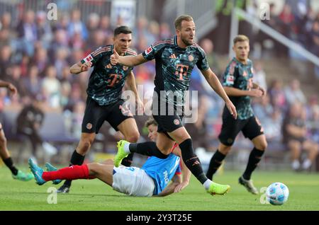 KIEL, GERMANIA - 14 SETTEMBRE: Harry Kane del Bayern Muenchen, Benedikt Pichler dell'Holstein Kiel durante la partita di Bundesliga tra Holstein Kiel e FC Bayern München all'Holstein-Stadion il 14 settembre 2024 a Kiel, Germania. © diebilderwelt / Alamy Stock Foto Stock