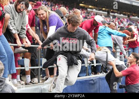 Seattle, Stati Uniti. 14 settembre 2024. I tifosi dei Washington State Cougars si precipitarono sul campo dopo la vittoria del 24-19 contro i Washington Huskies al Lumen Field di Seattle, Washington, il 14 settembre 2024. (Credito fotografico Nate Koppelman/Sipa USA) credito: SIPA USA/Alamy Live News Foto Stock