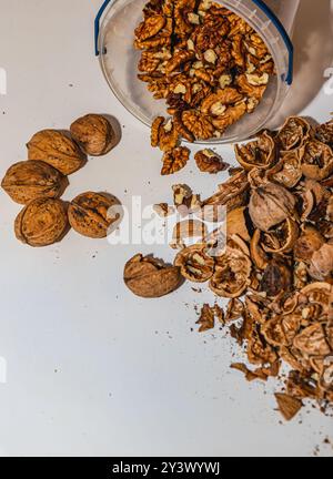 Guscio e dadi con guscio in un secchio appoggiato sul tavolo Foto Stock