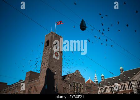 Torre dell'orologio di Beurs van Berlage con uccelli in volo in un giorno di sole - Amsterdam, Paesi Bassi Foto Stock