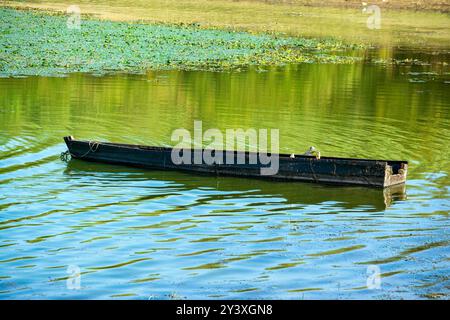 Una semplice barca in legno galleggia sulle calme acque del lago Kerkini, in Grecia, con riflessi verdi dalla vegetazione circostante sulla superficie. Foto Stock