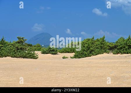 Bellissimo paesaggio con natura. Concetto per viaggi e vacanze estive. Grecia-isola di Corfù. Laguna di Korission Foto Stock