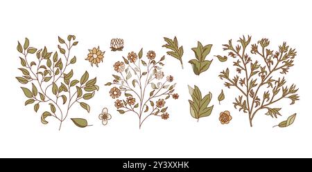Impostare i rami delle piante. Illustrazione della collezione di scarabocchi disegnata a mano vettoriale isolata su sfondo bianco. Impostare i rami delle piante. Vettoriale disegnato a mano Doodle Collect Illustrazione Vettoriale