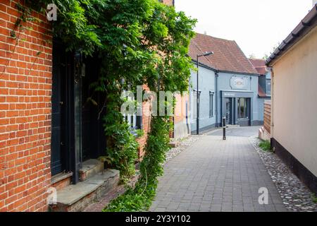 Crown e Anchor Lane a Framlingham, Suffolk, era una strada oggi un vicolo pedonale che prende il nome dall'unico pub all'angolo. In autunno un alpinista fallisce. Foto Stock