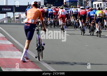 Hasselt, Belgio. 15 settembre 2024. Olandese Riesebeek Oscar nella foto durante la Elite Road Race maschile al Campionato europeo 2024, a Hasselt, domenica 15 settembre 2024. I Campionati europei di ciclismo su strada 2024 si svolgeranno dall'11 al 15 settembre a Limburgo, in Belgio. BELGA FOTO DIRK WAEM credito: Belga News Agency/Alamy Live News Foto Stock