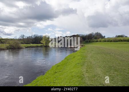 Viadotto ferroviario ora un sentiero pedonale e un sentiero nuziale che attraversa il fiume Lune al Crook di Lune vicino Lancaster Lancashire Inghilterra Foto Stock