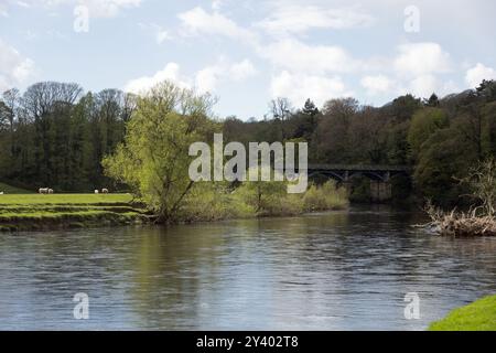 Viadotto ferroviario ora un sentiero pedonale e un sentiero nuziale che attraversa il fiume Lune al Crook di Lune vicino Lancaster Lancashire Inghilterra Foto Stock