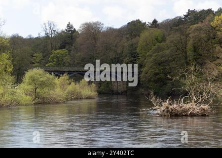 Viadotto ferroviario ora un sentiero pedonale e un sentiero nuziale che attraversa il fiume Lune al Crook di Lune vicino Lancaster Lancashire Inghilterra Foto Stock