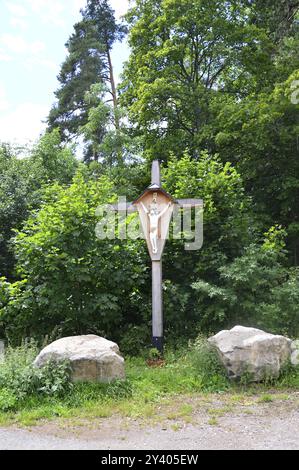 Sentiero nella Foresta Nera, Baden, Wuerttemberg, Germania. Sentiero escursionistico nella Foresta Nera, Baden, Wuerttemberg, Germania, Europa Foto Stock