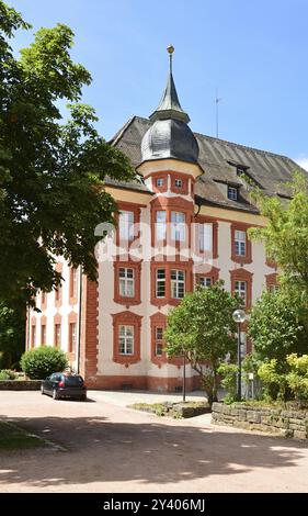 Castello storico nella città di Bonndorf nella Foresta Nera, Baden, Wuerttemberg, Germania, Europa Foto Stock