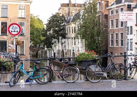 Utrecht, Paesi Bassi – 26 agosto 2024: Persone che si godono la serata al canale Oudegracht nel cuore della città di Utrecht nei Paesi Bassi Foto Stock