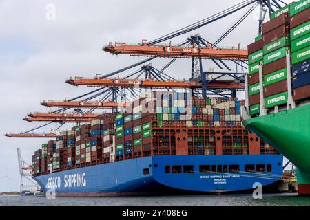 Rotterdam, Paesi Bassi - 29 agosto 2024: Nave portacontainer ormeggiata presso il terminal Euromax nel porto di Rotterdam, Paesi Bassi. Foto Stock