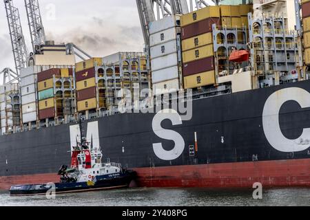 Rotterdam, Paesi Bassi - 29 agosto 2024: Nave portacontainer ormeggiata presso il terminal Euromax nel porto di Rotterdam, Paesi Bassi. Foto Stock