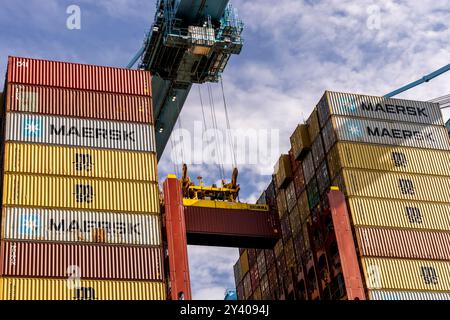 Rotterdam, Paesi Bassi - 29 agosto 2024: Nave portacontainer ormeggiata presso il terminal Euromax nel porto di Rotterdam, Paesi Bassi. Foto Stock