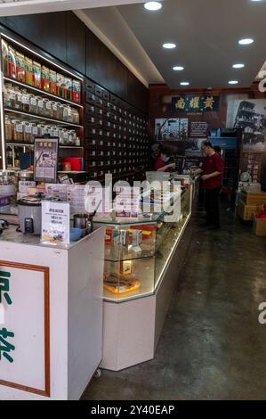 Fai acquisti all'interno del Wong Yiu Nam Medical Hall, un'azienda a conduzione familiare dal 1935, in Temple Street, nello storico quartiere Chinatown di Singapore. E' una m Foto Stock