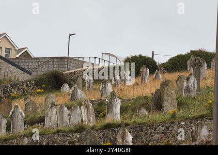 Un cimitero storico con pietre tombali intemprate su una collina, circondato da erba e fiori selvatici. Sullo sfondo, edifici moderni e un ponte Foto Stock