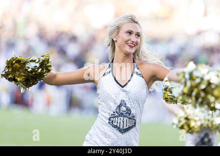 West Lafayette, Indiana, Stati Uniti. 14 settembre 2024. Membro della squadra di ballo Purdue durante la partita di calcio NCAA tra i Notre Dame Fighting Irish e i Purdue Boilermakers al Ross-Ade Stadium di West Lafayette, Indiana. John Mersits/CSM/Alamy Live News Foto Stock