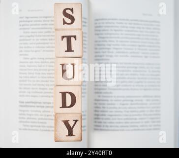 Giornata dell'istruzione. Giornata Mondiale degli studenti. Il concetto di sviluppare il pensiero, la grammatica, tornare a scuola, imparare. Vista dall'alto delle piastrelle quadrate in legno con libro Foto Stock