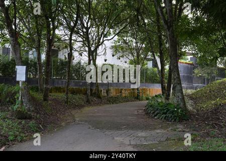 andare alla pista da jogging all'interno con un sacco di alberi come andare nella natura Foto Stock