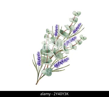 Composizione di rami di eucalipto e lavanda su sfondo bianco. Cornice per logo, design, decorazione Foto Stock