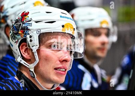 Noel Saffran (Iserlohn Roosters, #14), GER, Iserlohn Roosters vs. Düsseldorfer EG, Eishockey, Testspiel, Spielzeit 2023/2024, 15.09.2024, foto: Jonas Brockmann/Eibner-Pressefoto Foto Stock