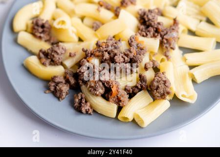Pasta marina con manzo macinato su un piatto grigio, primo piano. Piatti di carne halal Foto Stock