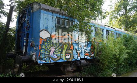 Perso nel tempo: Cabina ferroviaria abbandonata nel mezzo della foresta Foto Stock