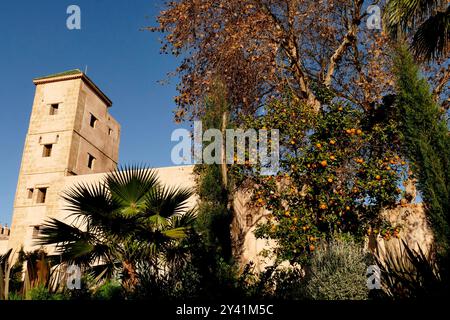 I Giardini Andalusi all'interno del complesso della Kasbah di OudayasRabat, Marocco, Nord Africa Foto Stock