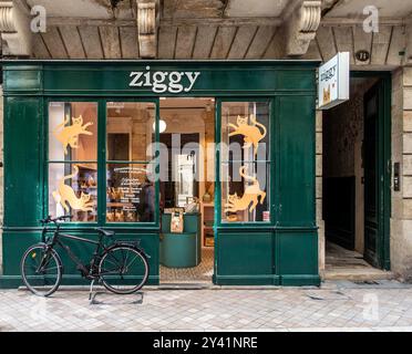 Ziggy, Bordeaux, francia, un negozio specializzato in cibo per gatti e accessori per gatti. Foto Stock