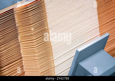 Gli elementi delle scatole corton vengono raccolti in pila. Linea di trasporto per la produzione di scatole. La macchina taglia scatole di cartone da fogli di cartone. Int Foto Stock