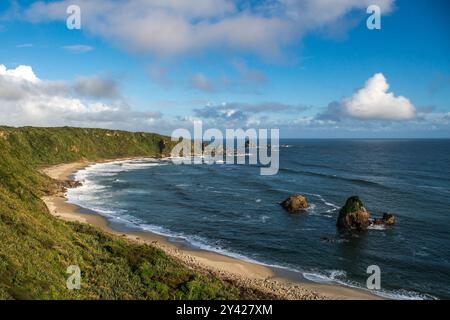 Costa a Cape Foulwind vicino a Westport sulla costa occidentale della nuova Zelanda Foto Stock