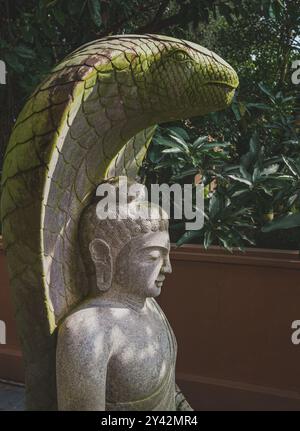 Balikpapan, Indonesia - 6 luglio 2024. Una pacifica statua di Buddha che meditava sotto il cappuccio protettivo di un Naga, un mitico serpente nel mito buddista Foto Stock