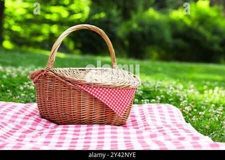 Un cestino da picnic in vimini con tovagliolo a scacchi e coperta sull'erba verde. Spazio per il testo Foto Stock