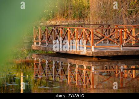 Vicino al lago ai Giardini Botanici di Brisbane, Mount Coot-tha. Cinquantantasei ettari di giardini botanici subtropicali con piante e fauna locali ed esotiche Foto Stock