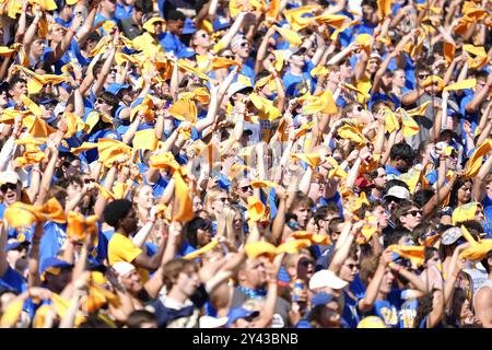 Pittsburgh, Pennsylvania, Stati Uniti. 14 settembre 2024. 14 settembre 2024: Tifosi dei Pitt durante il Backyard Brawl tra l'Università dei Pittsburgh Panthers e i West Virginia University Mountaineers all'Acrisure Stadium di Pittsburgh, Pennsylvania. Brook Ward/AMG (immagine di credito: © AMG/AMG via ZUMA Press Wire) SOLO PER USO EDITORIALE! Non per USO commerciale! Foto Stock