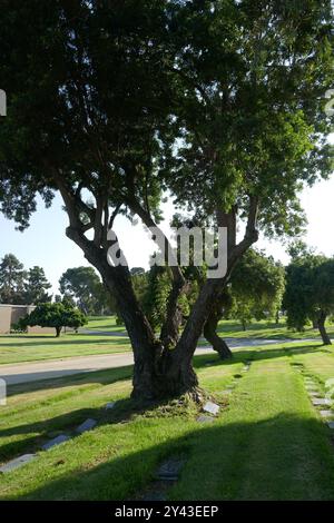 Inglewood, California, USA 14 settembre 2024 Inglewood Park Cemetery il 14 settembre 2024 a Inglewood, California, USA. Foto di Barry King/Alamy Stock Photo Foto Stock