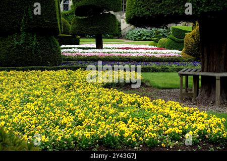 Pansie colorate in Flower Beds & Borders al Levens Hall Manor House Gardens nel Lake District National Park, Cumbria, Inghilterra, Regno Unito. Foto Stock