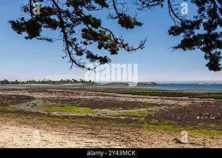 Baie des Anges, l'Aber Wraca'h, Finistère, Bretagna, Francia, con la bassa marea, mostra i vasti letti della fattoria di ostriche Foto Stock