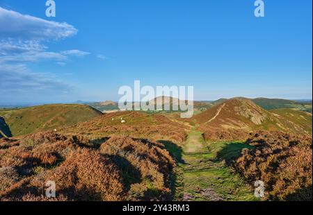 Il Wrekin, il Lawley, Caer Caradoc e la bocca del Diavolo visti da Long Mynd, Church Stretton, Shropshire Foto Stock